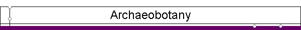 Archaeobotany